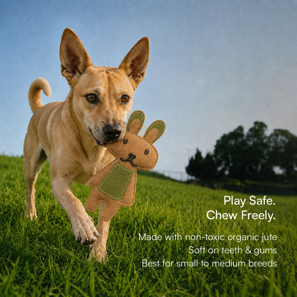 BunnyChew Jute Bite-Play Toy With Squeaker For Dogs & Cats