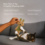 BunnyChew Jute Bite-Play Toy With Squeaker For Dogs & Cats
