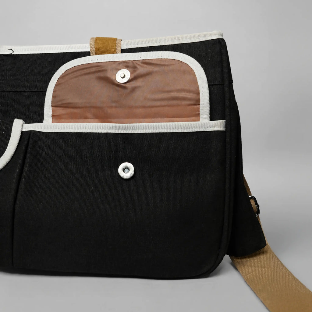 CabinPet Carrier