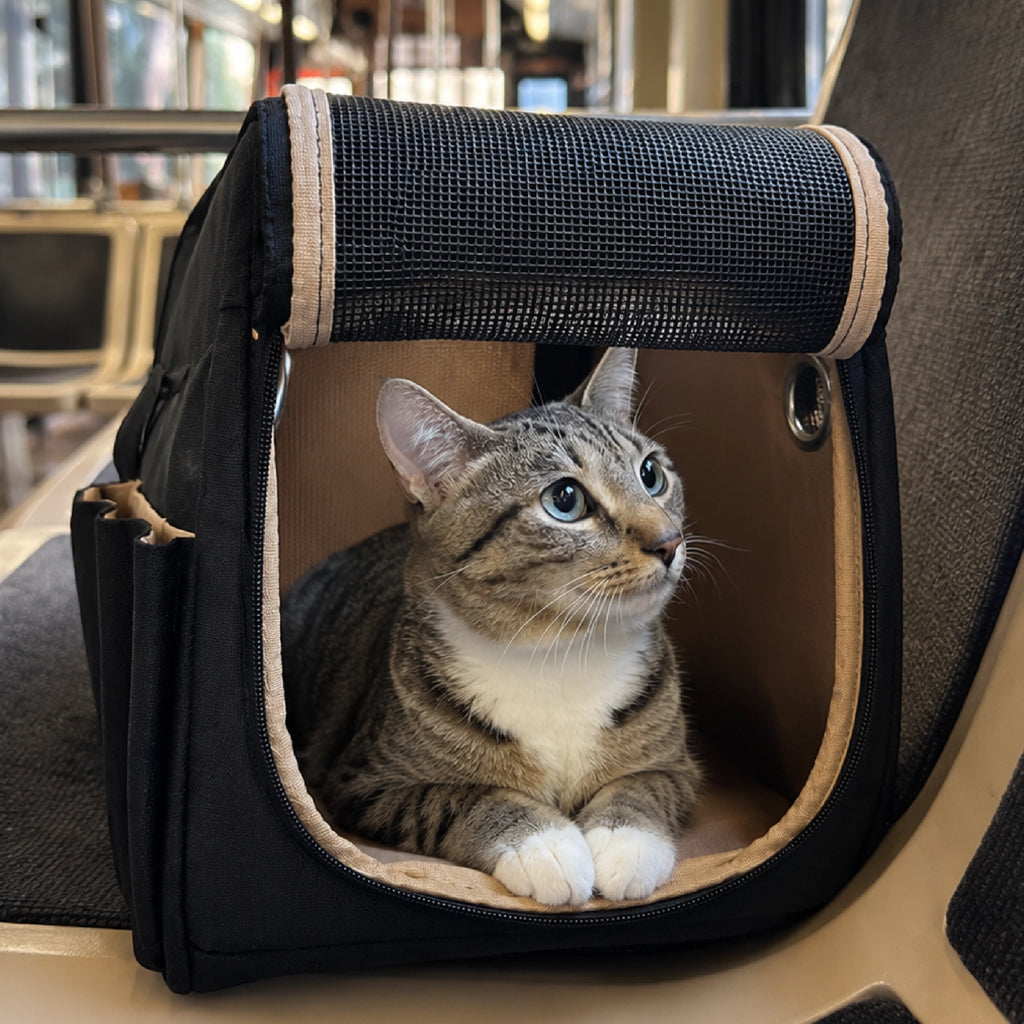 CabinPet Carrier