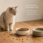 CalmQuench Feeder | 2-in-1 Water Fountain + Feeder