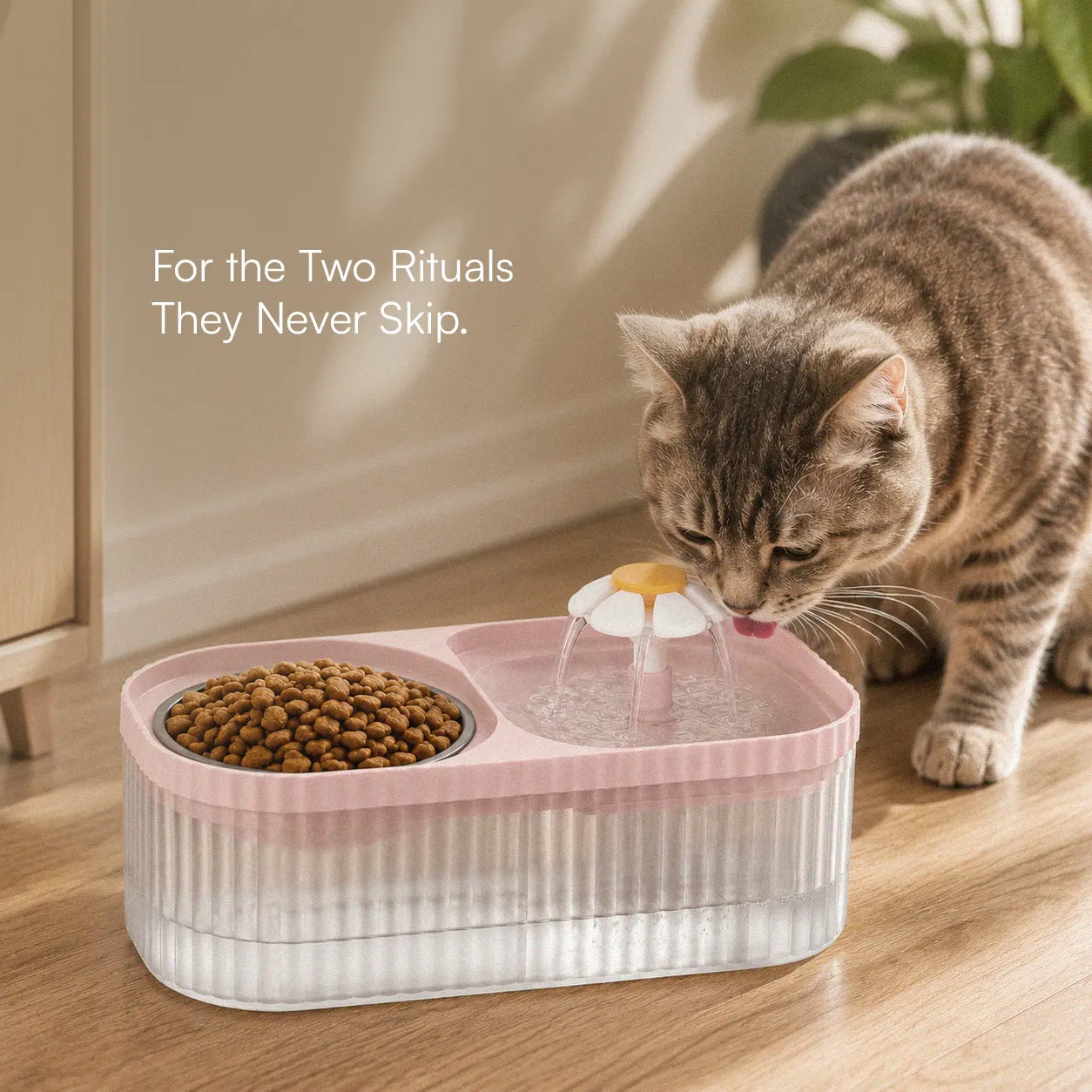 CalmQuench Feeder | 2-in-1 Water Fountain + Feeder