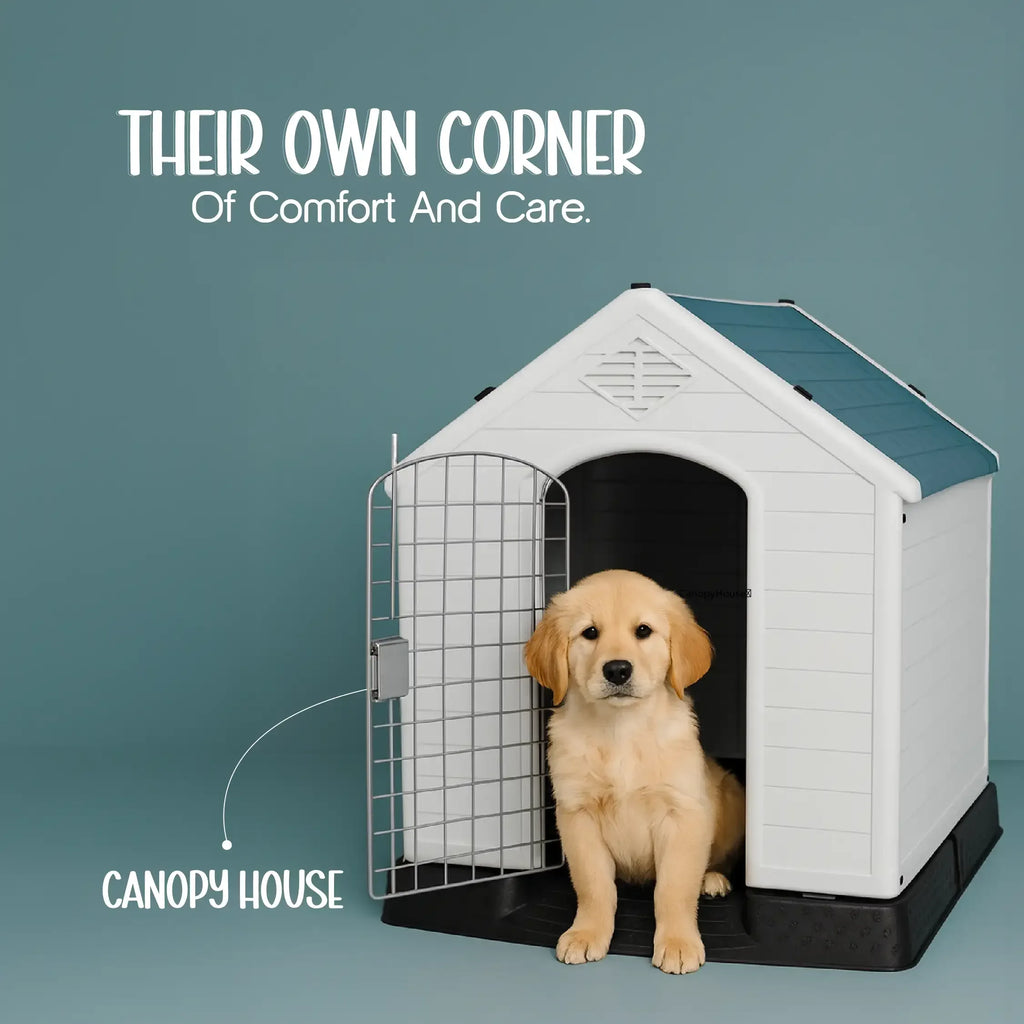 CanopyHouse | All-Weather Pet Shelter for Year-Round Comfort - Tilting Heads