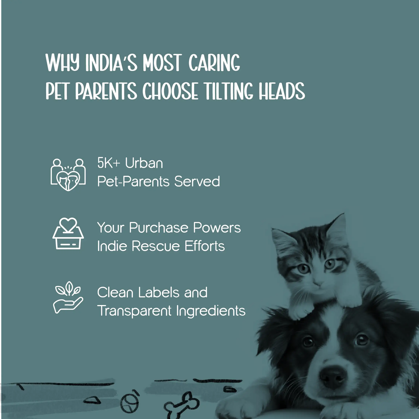 CanopyHouse | All-Weather Pet Shelter for Year-Round Comfort