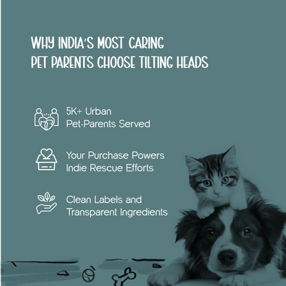 CanopyHouse | All-Weather Pet Shelter for Year-Round Comfort