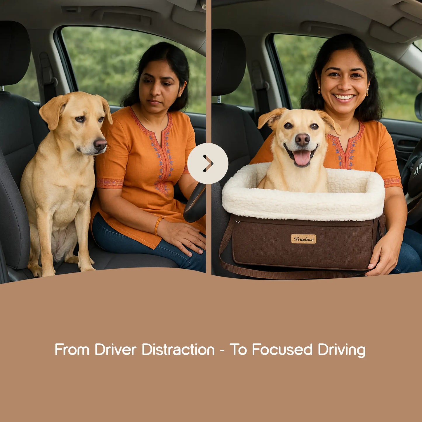 CarMate Pet Seat | Secure Travel for Pets