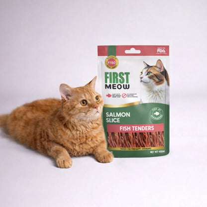 First Meow Salmon Slice Jerky Cat Treat 40gm