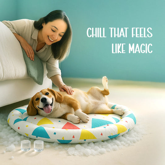 Chillow Bed – Cool Comfort| Zero Hassle| Summer-Ready