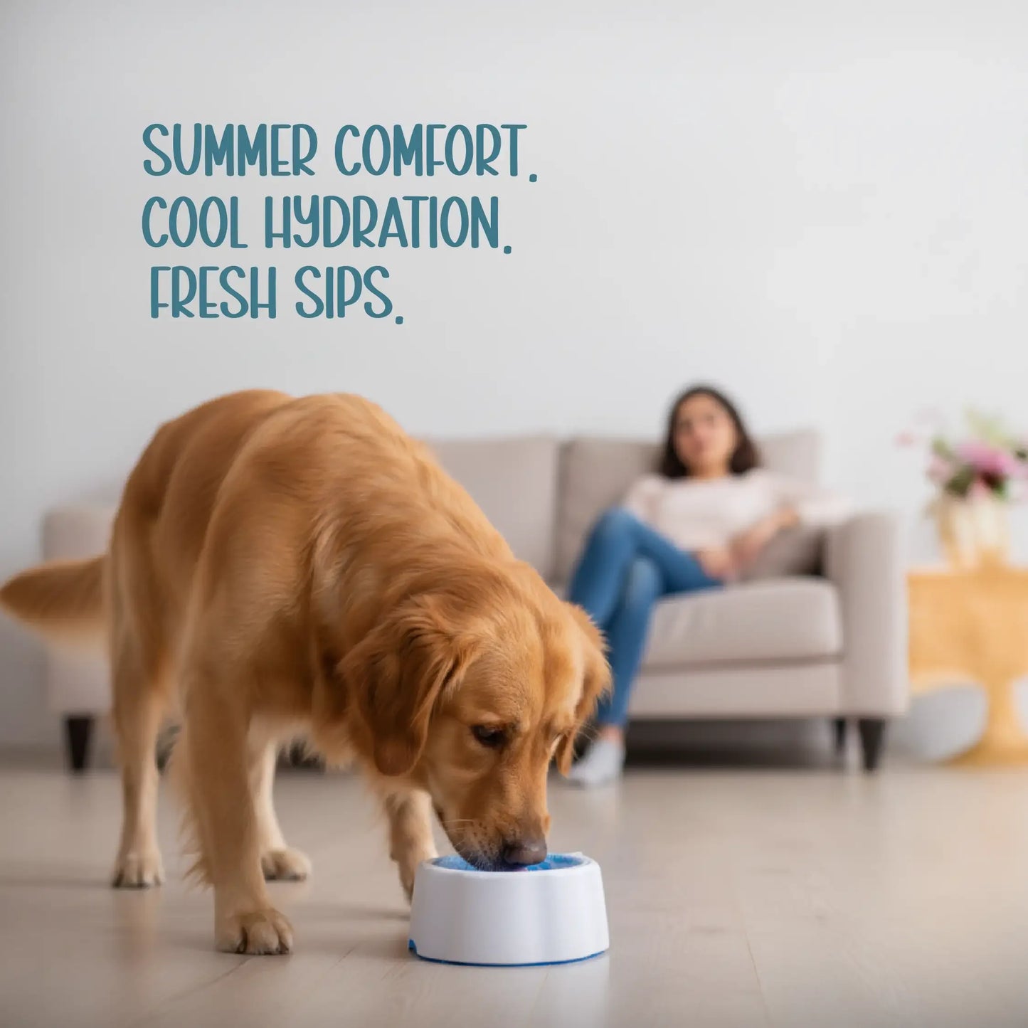 ChillSip Bowl – Cooling Pet Water Bowl for Fresh, Hydrated Days - Tilting Heads