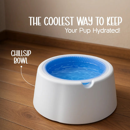ChillSip Bowl – Cooling Pet Water Bowl for Fresh, Hydrated Days - Tilting Heads
