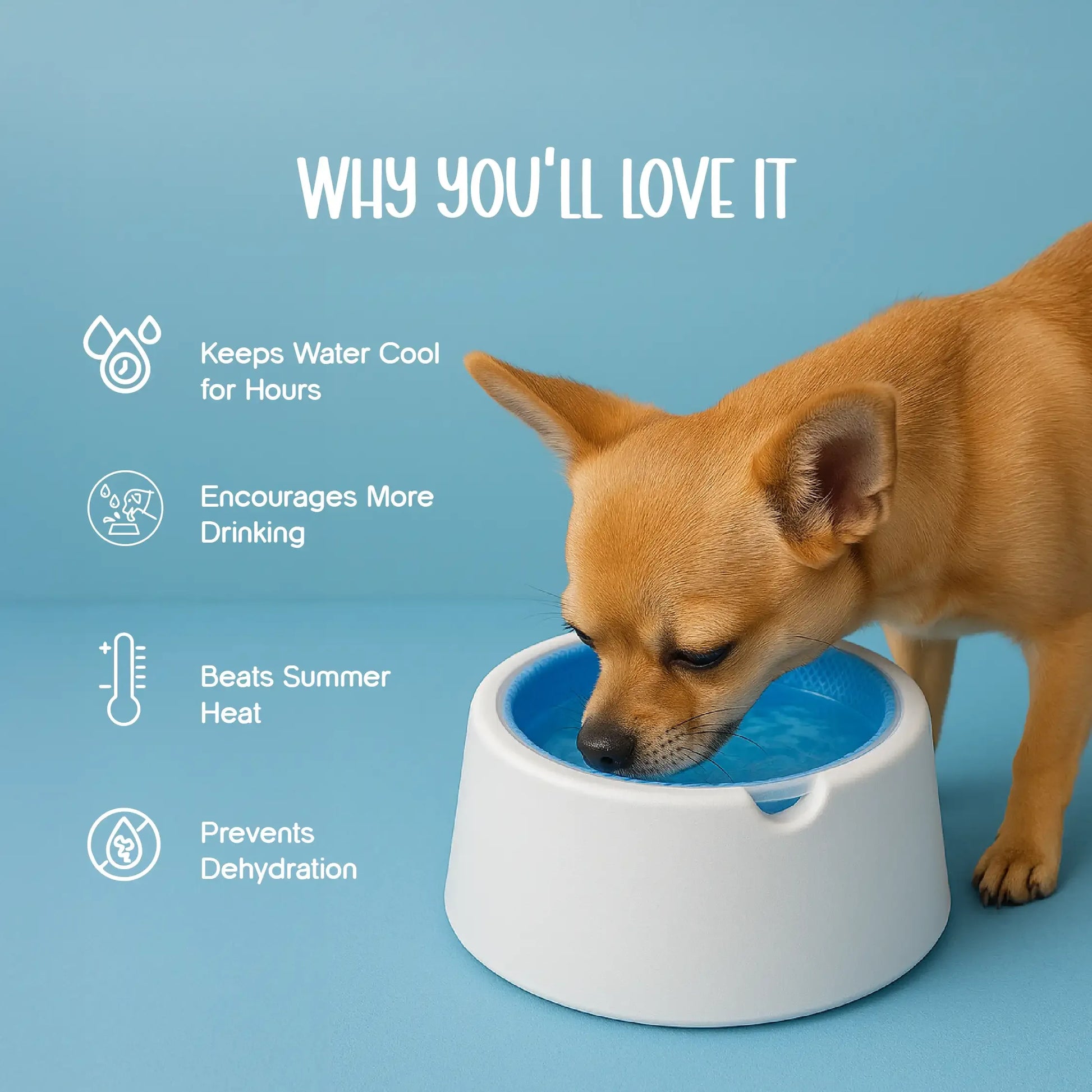 ChillSip Bowl – Cooling Pet Water Bowl for Fresh, Hydrated Days - Tilting Heads