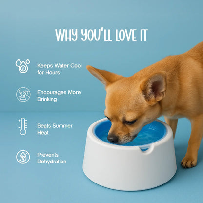 ChillSip Bowl – Cooling Pet Water Bowl for Fresh, Hydrated Days - Tilting Heads