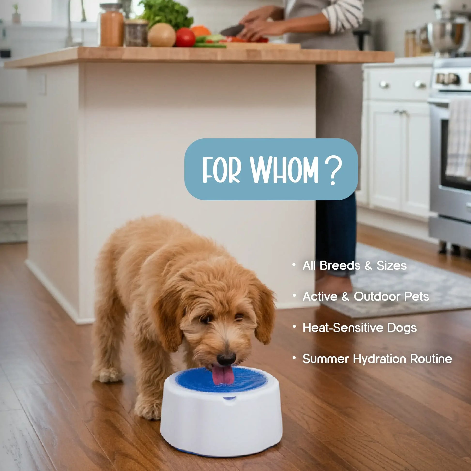 ChillSip Bowl – Cooling Pet Water Bowl for Fresh, Hydrated Days - Tilting Heads