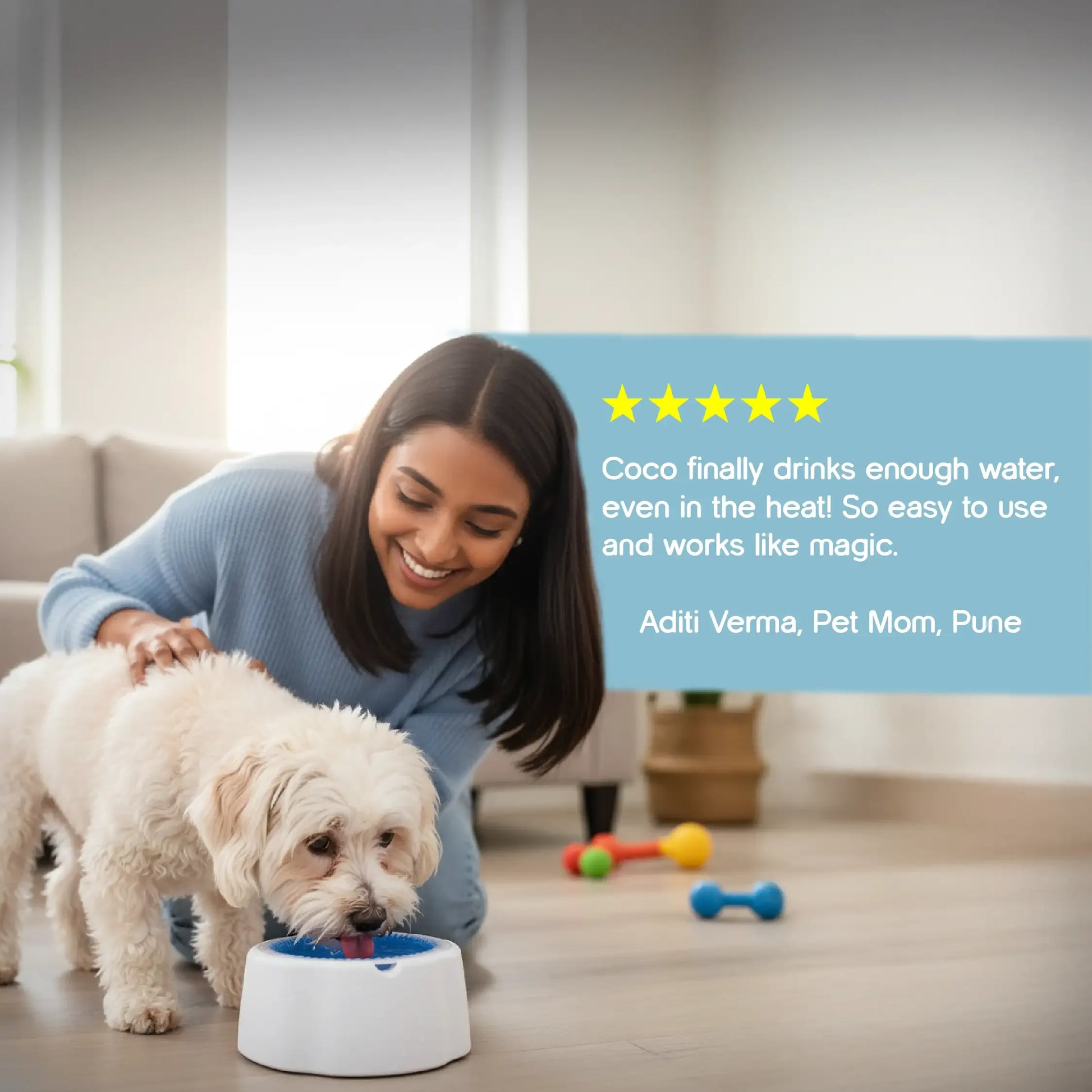 ChillSip Bowl – Cooling Pet Water Bowl for Fresh, Hydrated Days - Tilting Heads