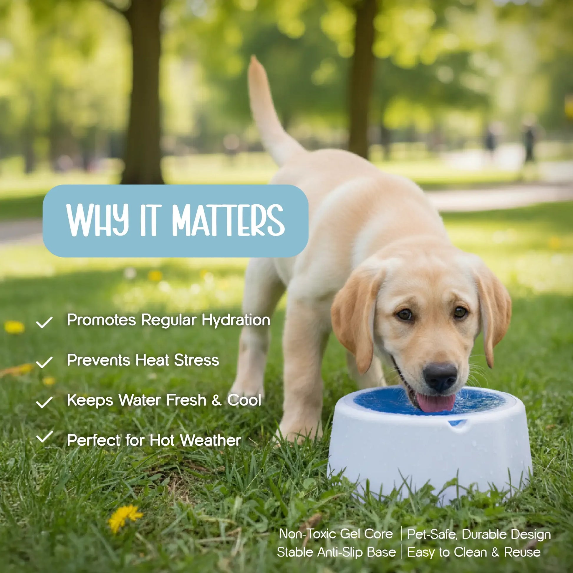 ChillSip Bowl – Cooling Pet Water Bowl for Fresh, Hydrated Days - Tilting Heads