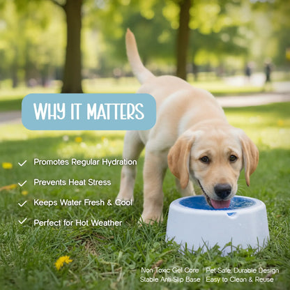 ChillSip Bowl – Cooling Pet Water Bowl for Fresh, Hydrated Days - Tilting Heads
