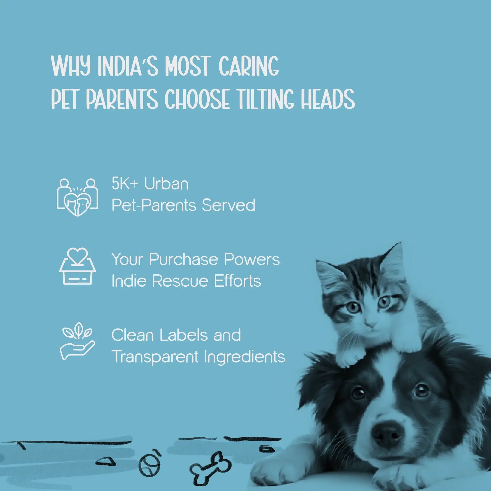 ChillSip Bowl – Cooling Pet Water Bowl for Fresh, Hydrated Days - Tilting Heads