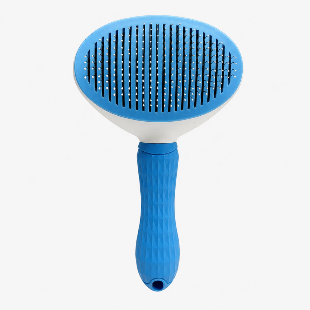 Blue pet detangling brush head with dense pin bristles on a grip handle
