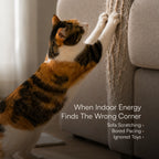 Clover Spin Scratcher – Interactive Scratch & Chase Lounge for Indoor Cats