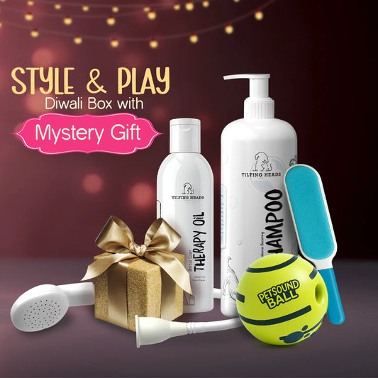 Style & Play Diwali Box  with Mystery Gift