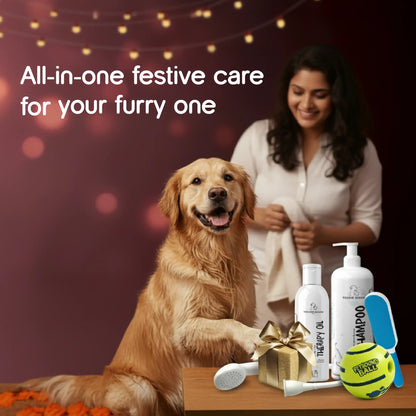 Style & Play Diwali Box  with Mystery Gift