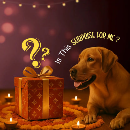 Style & Play Diwali Box  with Mystery Gift