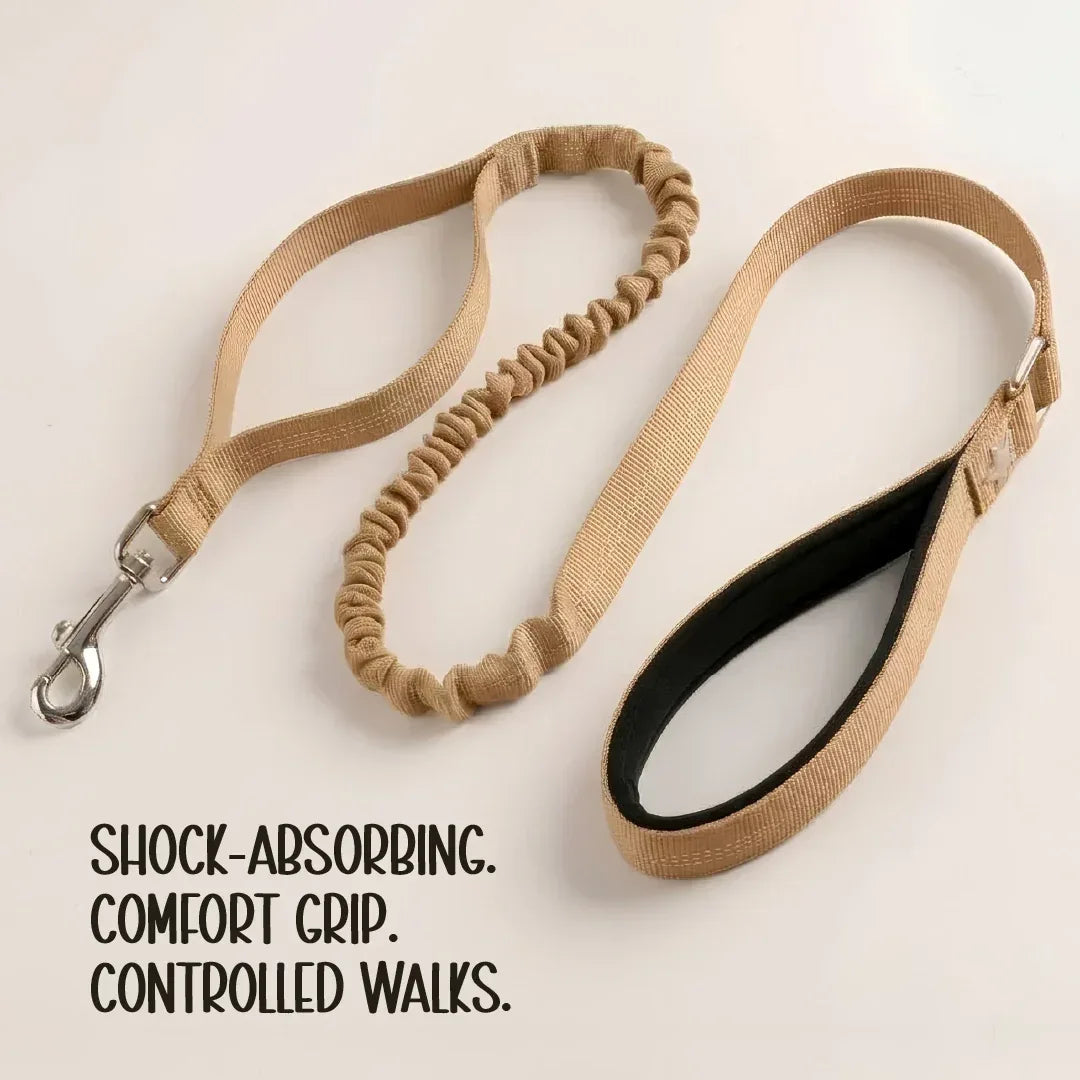 ComfortGrip Bungee Leash | Shock-Absorbing Leash for Active Dogs - Tilting Heads