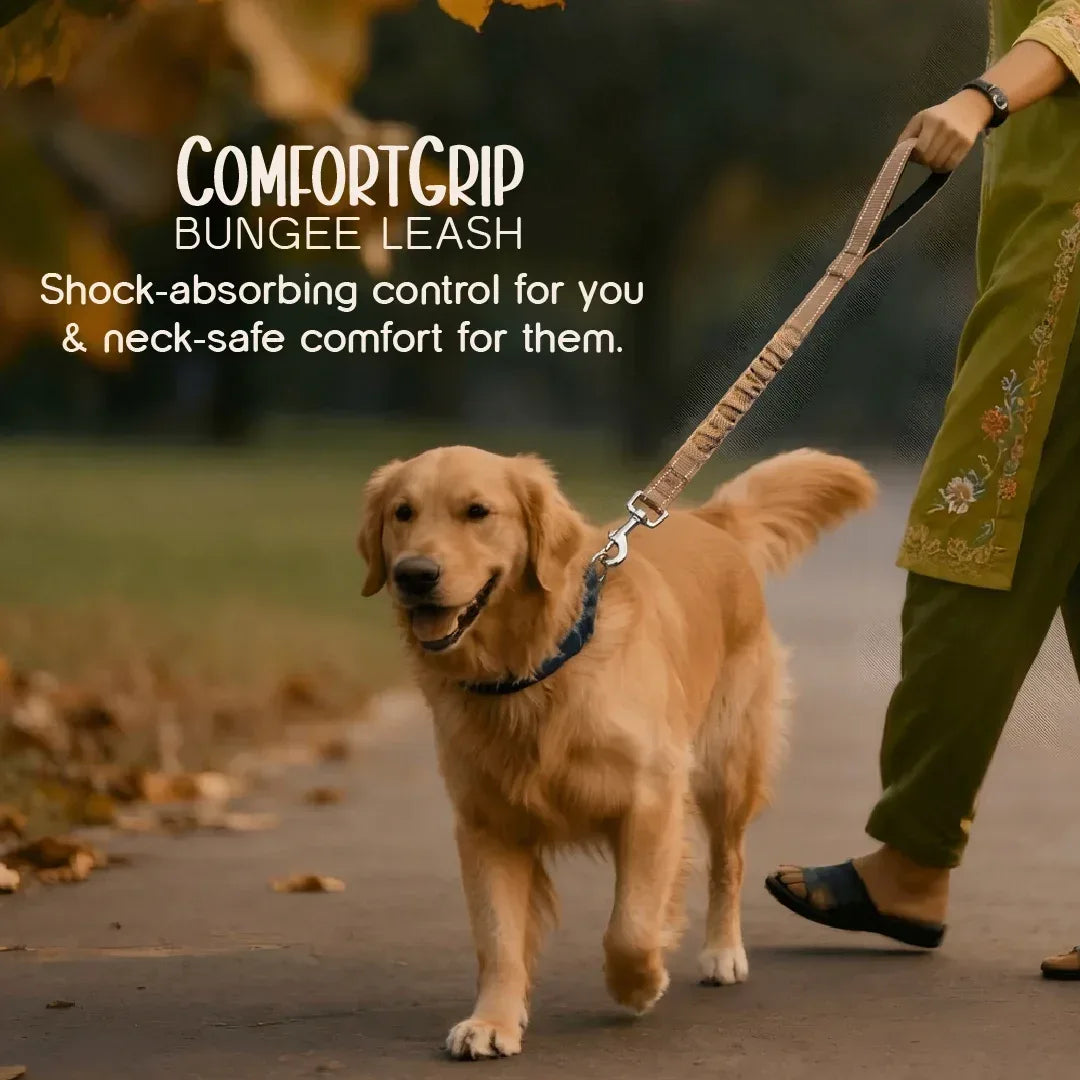 ComfortGrip Bungee Leash | Shock-Absorbing Leash for Active Dogs - Tilting Heads