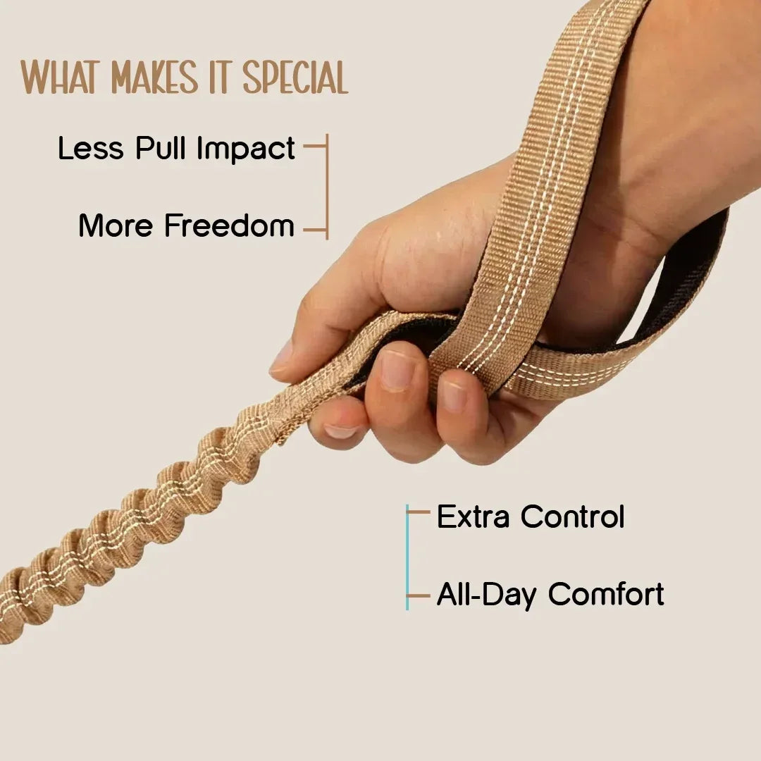 ComfortGrip Bungee Leash | Shock-Absorbing Leash for Active Dogs - Tilting Heads