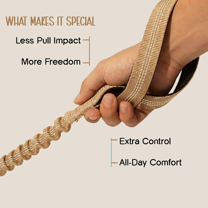 ComfortGrip Bungee Leash | Shock-Absorbing Leash for Active Dogs - Tilting Heads