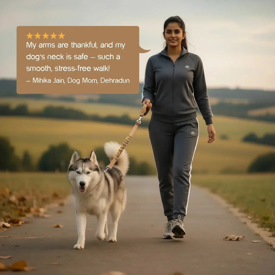 ComfortGrip Bungee Leash | Shock-Absorbing Leash for Active Dogs - Tilting Heads