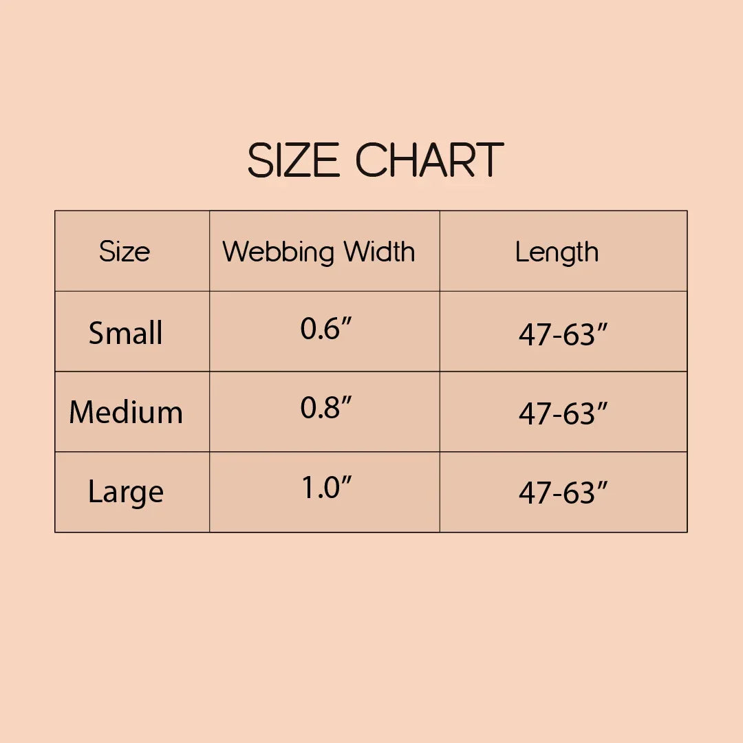 ComfortGrip Bungee Leash | Shock-Absorbing Leash for Active Dogs - Tilting Heads