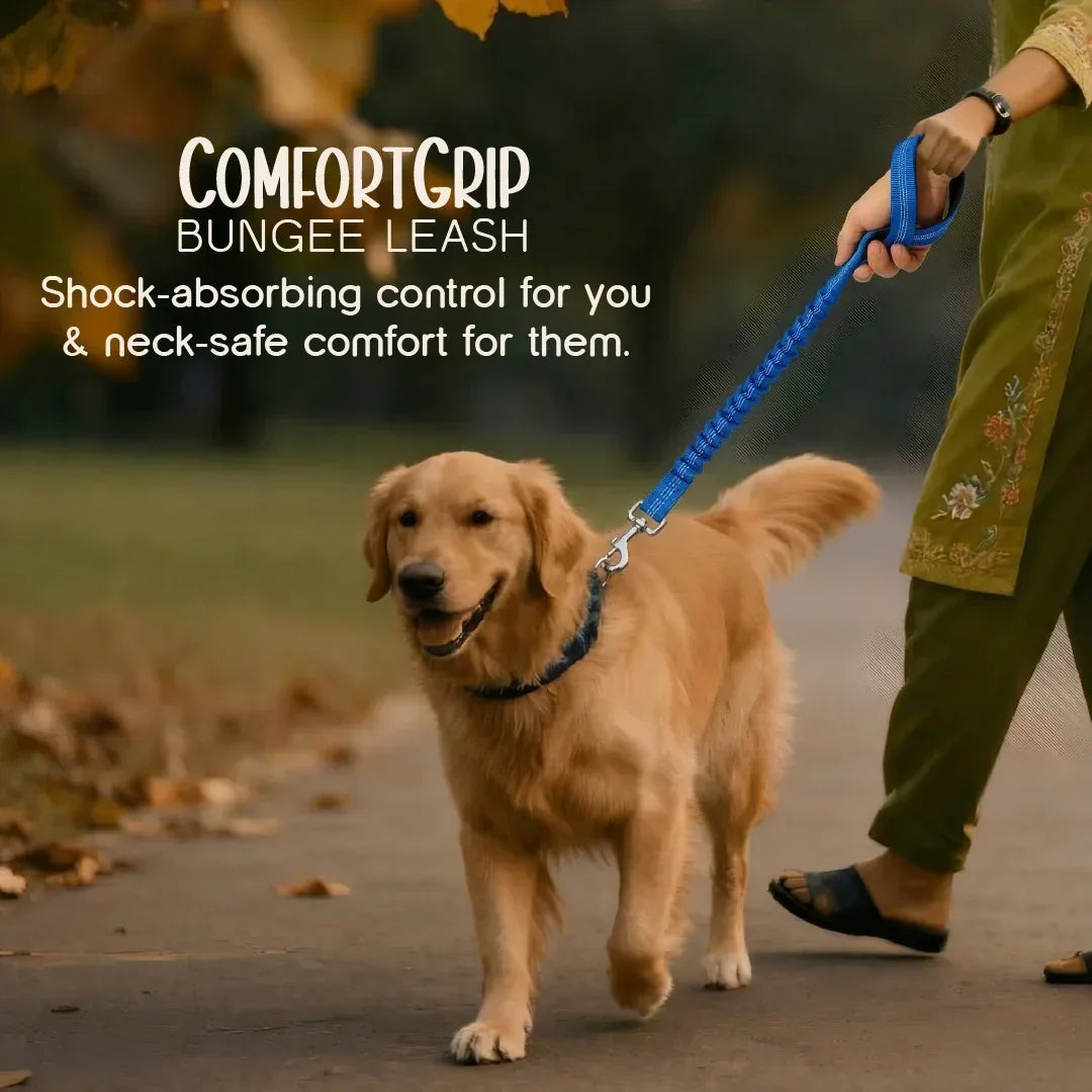 ComfortGrip Bungee Leash | Shock-Absorbing Leash for Active Dogs - Tilting Heads