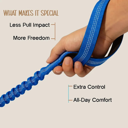 ComfortGrip Bungee Leash | Shock-Absorbing Leash for Active Dogs - Tilting Heads