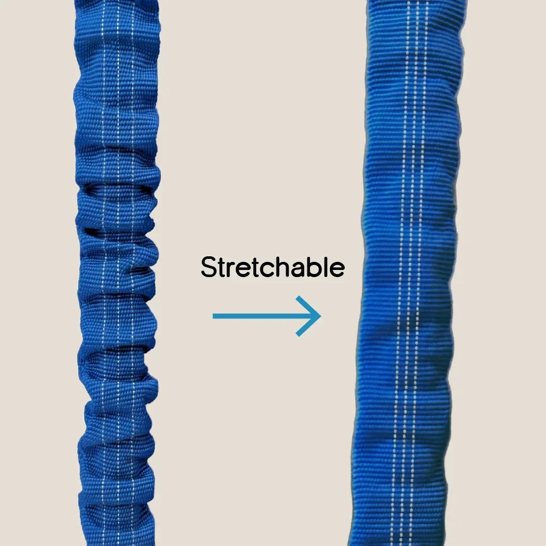 ComfortGrip Bungee Leash | Shock-Absorbing Leash for Active Dogs - Tilting Heads