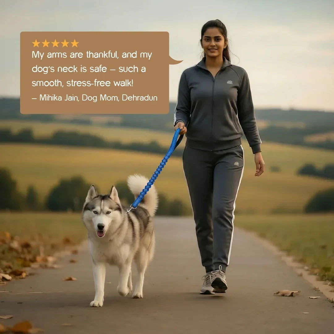 ComfortGrip Bungee Leash | Shock-Absorbing Leash for Active Dogs - Tilting Heads