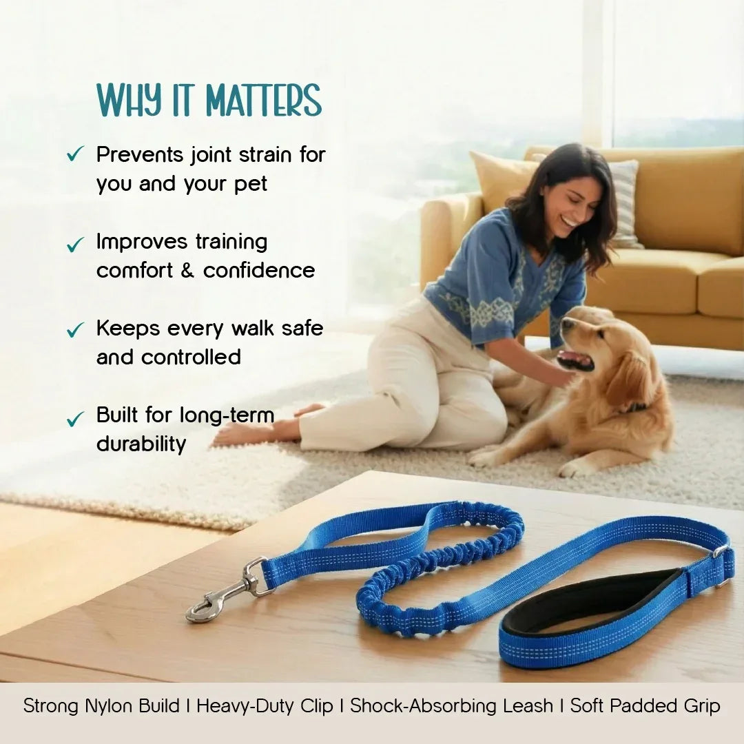 ComfortGrip Bungee Leash | Shock-Absorbing Leash for Active Dogs - Tilting Heads