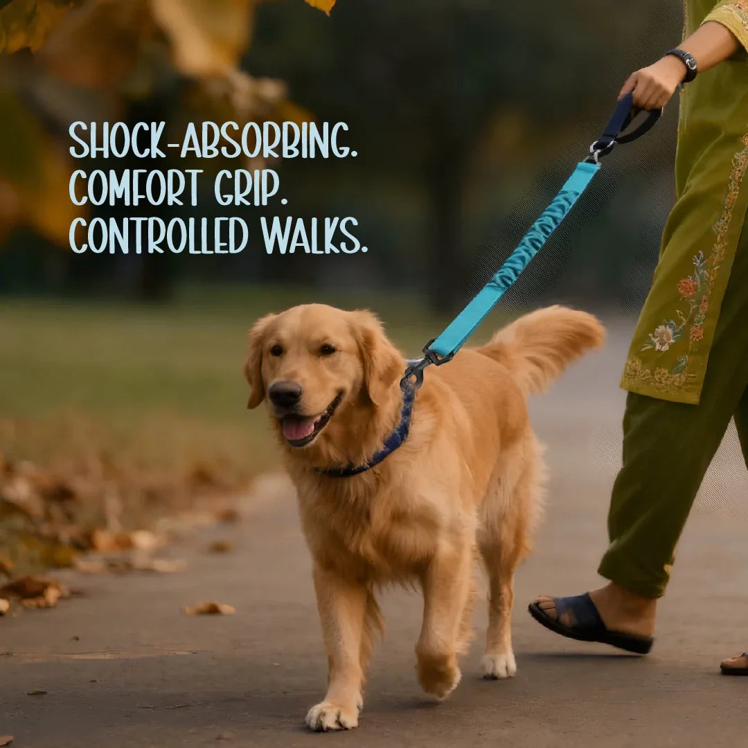 ComfortGrip Bungee Leash | Shock-Absorbing Leash for Active Dogs - Tilting Heads