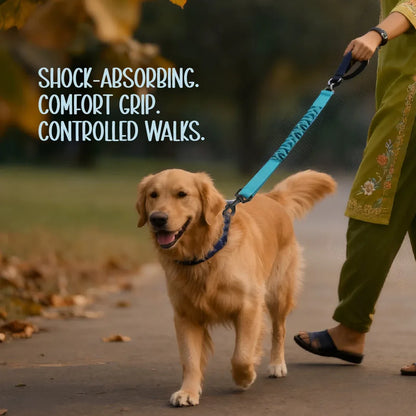 ComfortGrip Bungee Leash | Shock-Absorbing Leash for Active Dogs - Tilting Heads