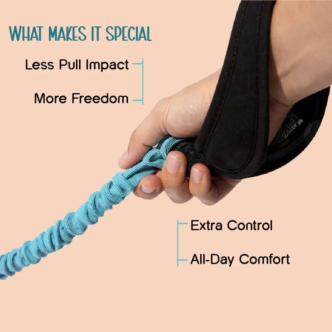 ComfortGrip Bungee Leash | Shock-Absorbing Leash for Active Dogs - Tilting Heads