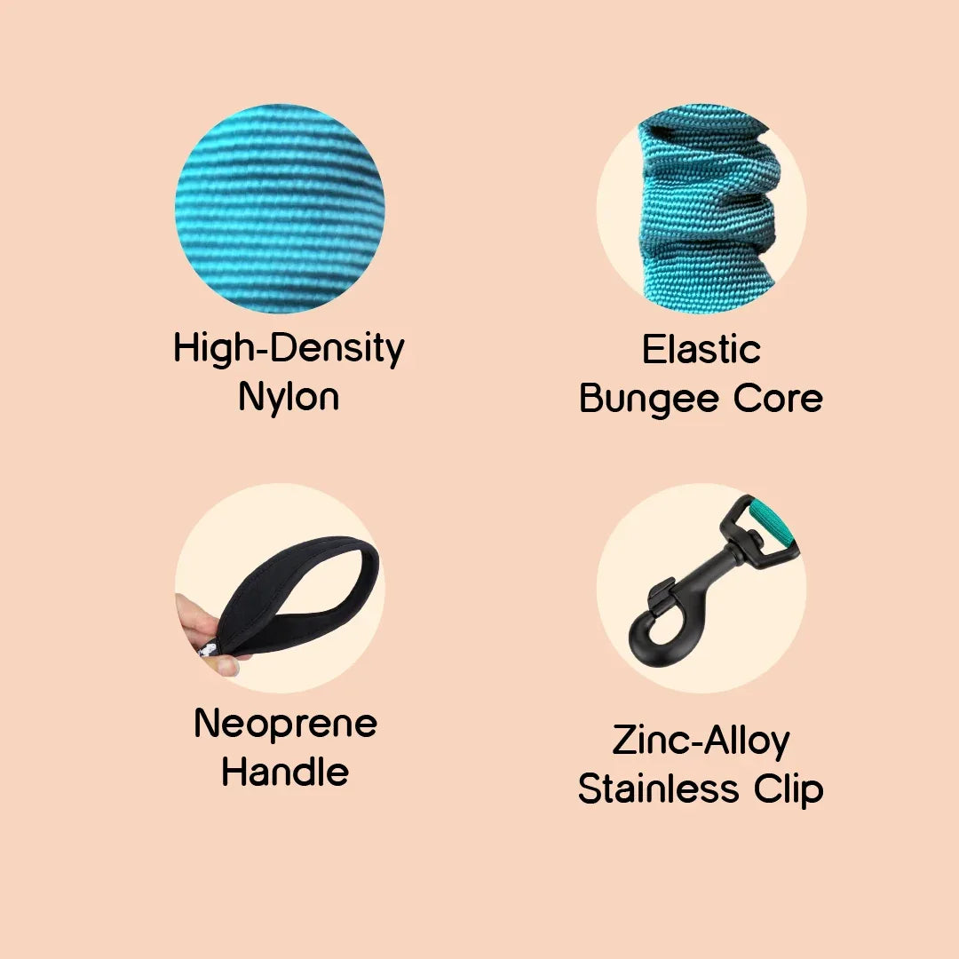 ComfortGrip Bungee Leash | Shock-Absorbing Leash for Active Dogs - Tilting Heads