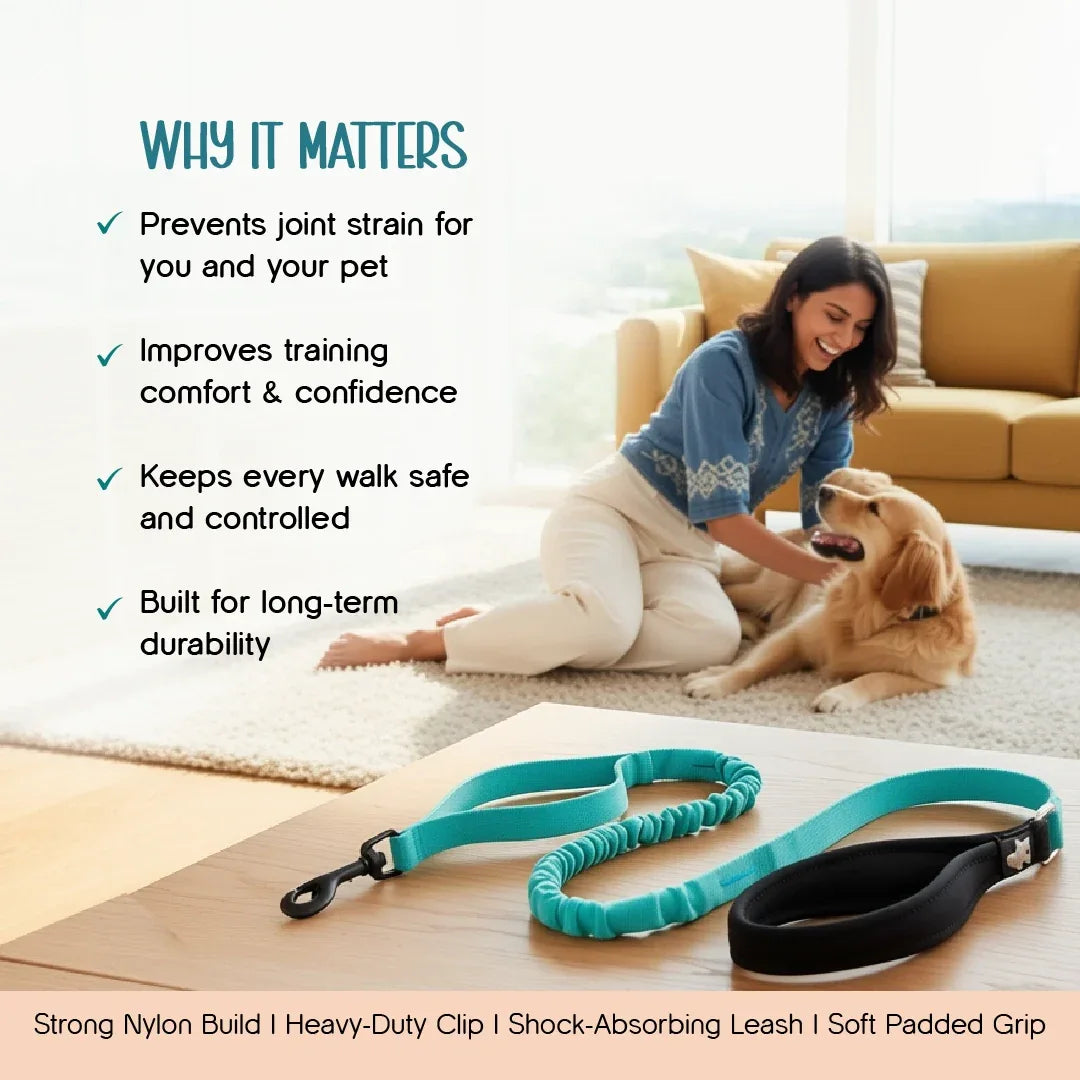 ComfortGrip Bungee Leash | Shock-Absorbing Leash for Active Dogs - Tilting Heads