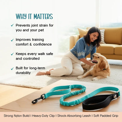 ComfortGrip Bungee Leash | Shock-Absorbing Leash for Active Dogs - Tilting Heads
