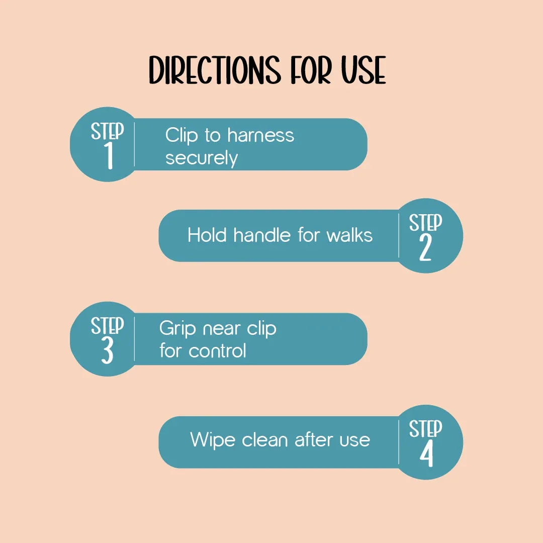 ComfortGrip Bungee Leash | Shock-Absorbing Leash for Active Dogs - Tilting Heads