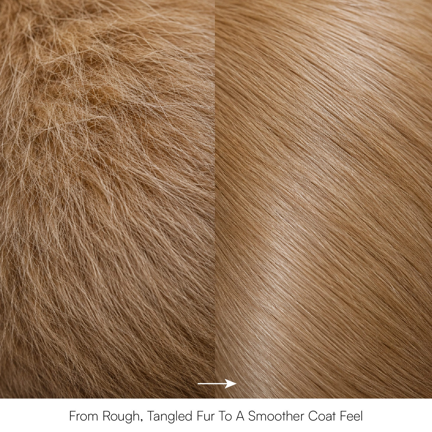 Herbal Blend Pet Coat Conditioner | For Shiny, Silky-Smooth Fur for Dogs & Cats