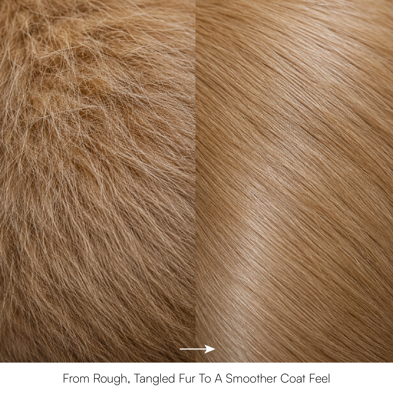 Herbal Blend Pet Coat Conditioner | For Shiny, Silky-Smooth Fur for Dogs & Cats