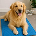 SummerSoothe Cooling Mat for Dogs | Self-Cooling, Travel-Friendly & Non-Toxic - Tilting Heads