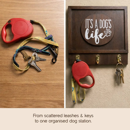 Core Holder – Stylish Wall Organiser for Pet Parents - Tilting Heads