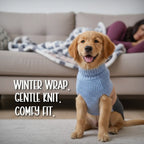 Cozee Knitwear – Soft, Warm & Stylish Winter Wear for Small Pets - Tilting Heads