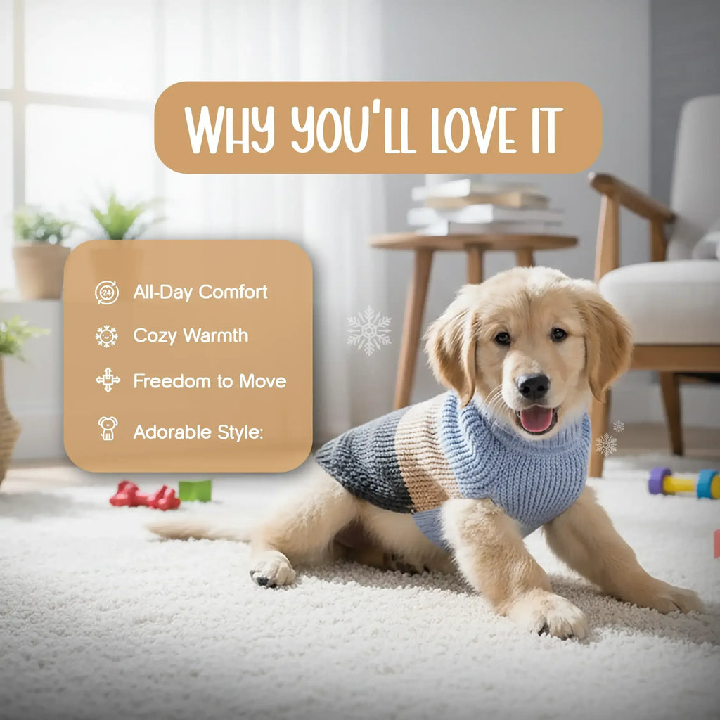 Cozee Knitwear – Soft, Warm & Stylish Winter Wear for Small Pets - Tilting Heads